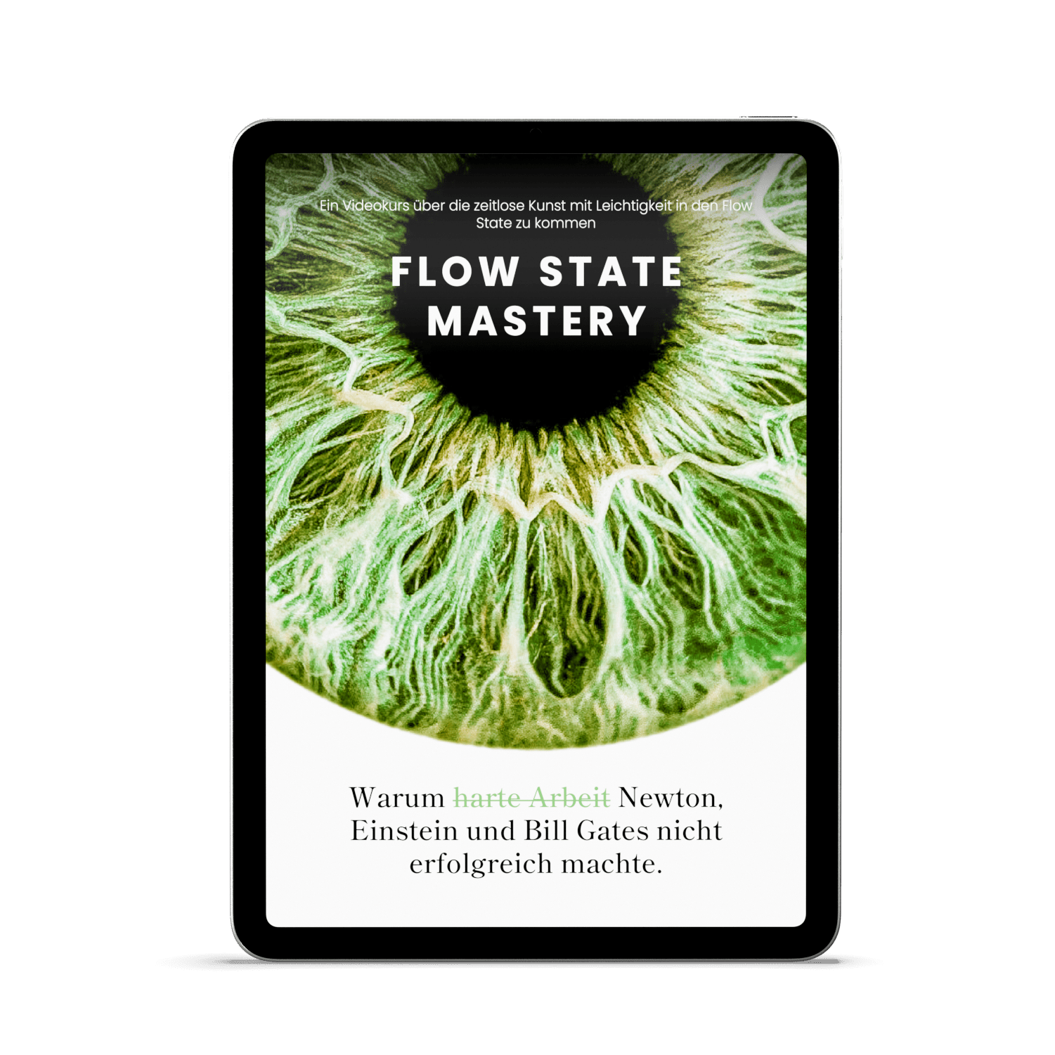 Titelbild Honest Focus Flow State Mastery Videokurs auf iPad